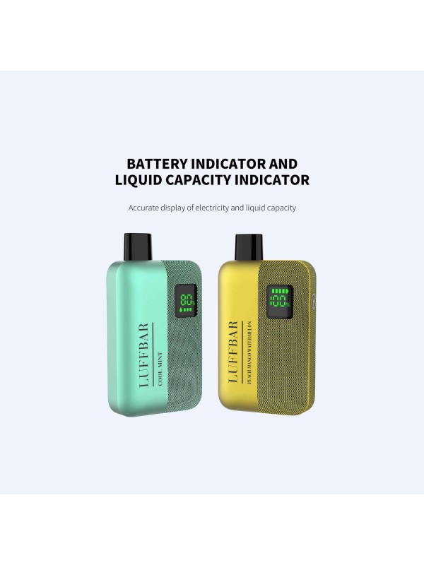 LuffBar TT9000 Disposable Vape Device